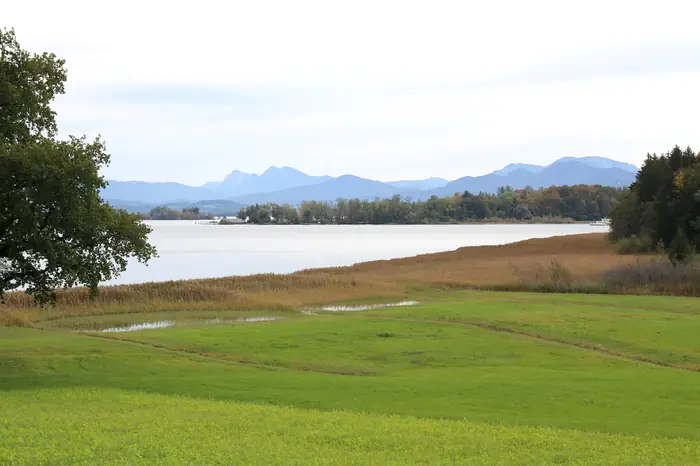 Chiemsee bei Breitbrunn mit Wiese am Ufer und den Chiemgauer Alpen im Hintergrund